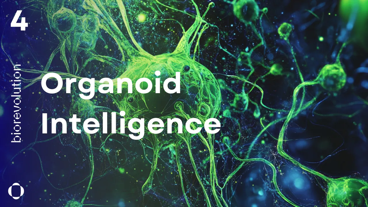 BioRevolution #4 - Organoid Intelligence
