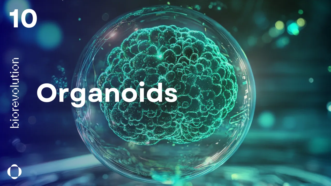 BioRevolution #10 - Organoids