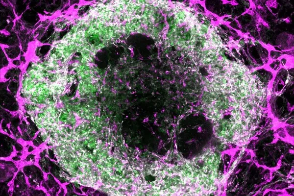 BioRevolution #18 - Decoding 2035, image 1