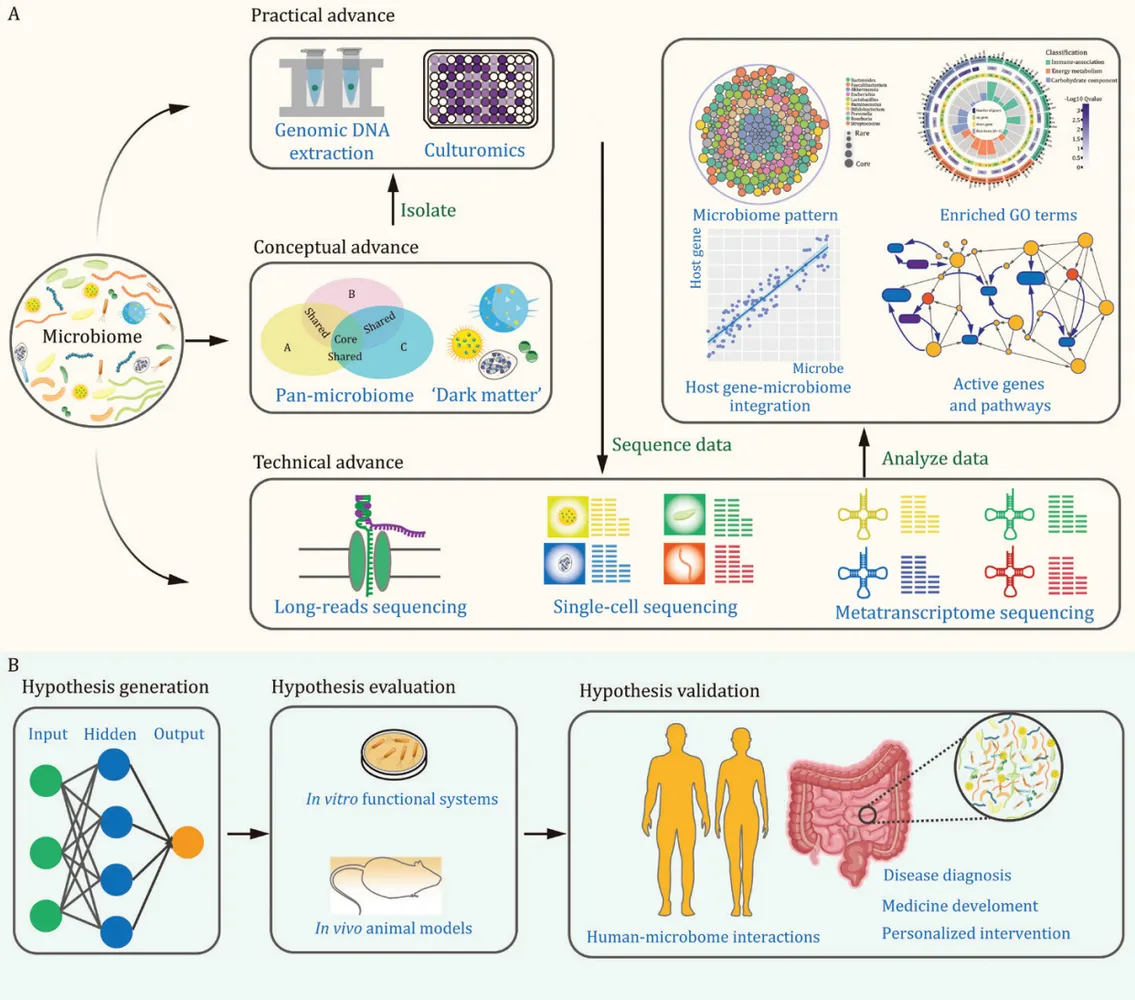 Figure: Future direction of microbiome research.