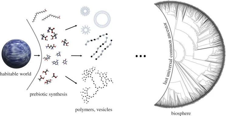 “Re-conceptualizing the origins of life” by Walker, S. I., Packard, N. H., & Cody, G. D. (2017)