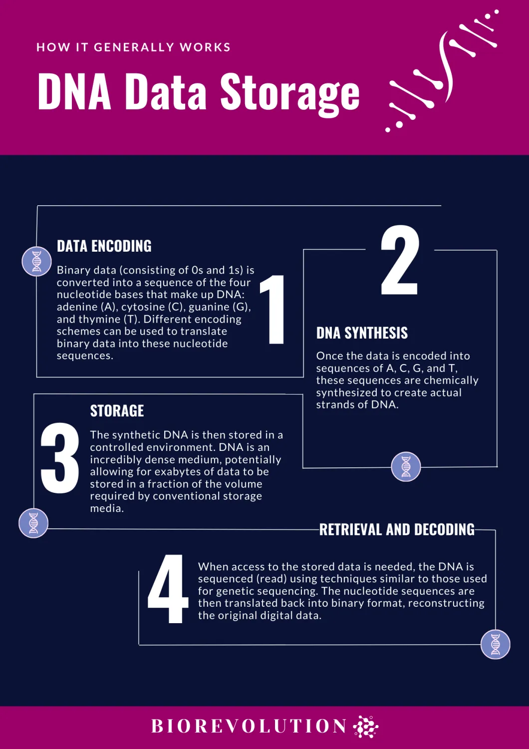 BioRevolution #5 - DNA Data Storage, image 3