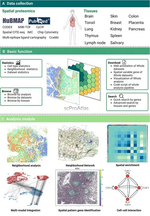 BioRevolution #18 - Decoding 2035, image 4