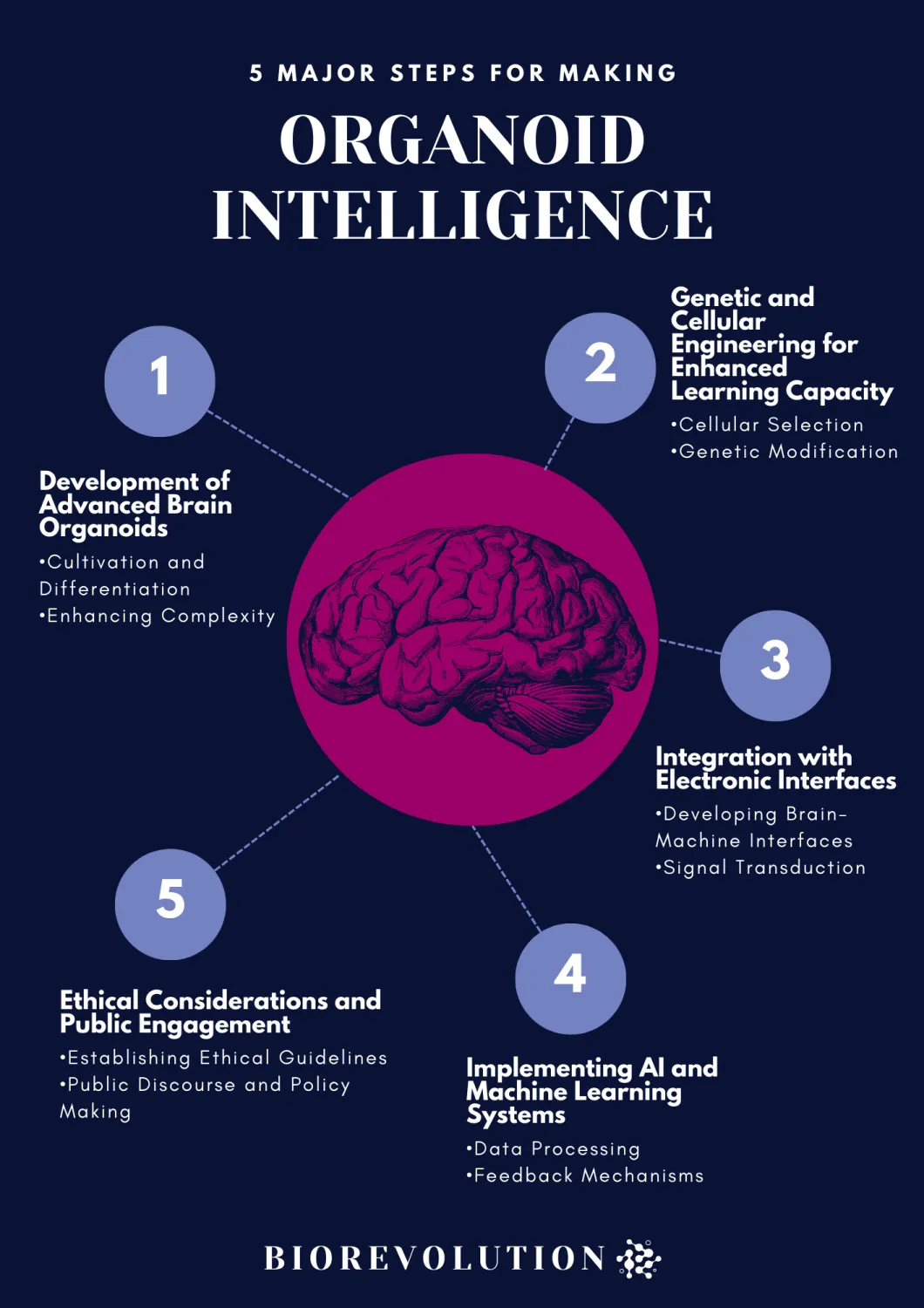 BioRevolution #4 - Organoid Intelligence, image 4