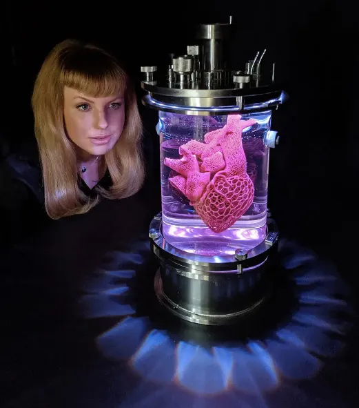 The Heart of Evolution? (2019)